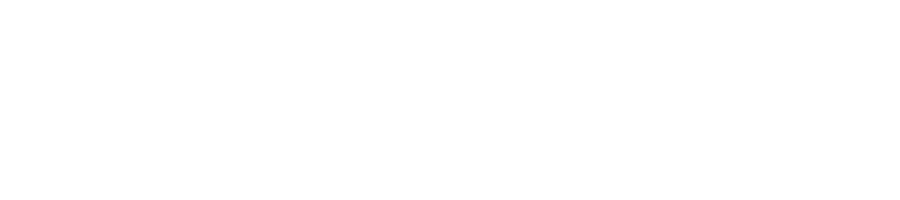 VISA-01